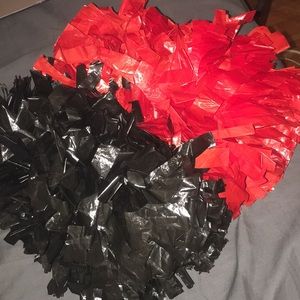 Louisville Ladybird Dance Poms